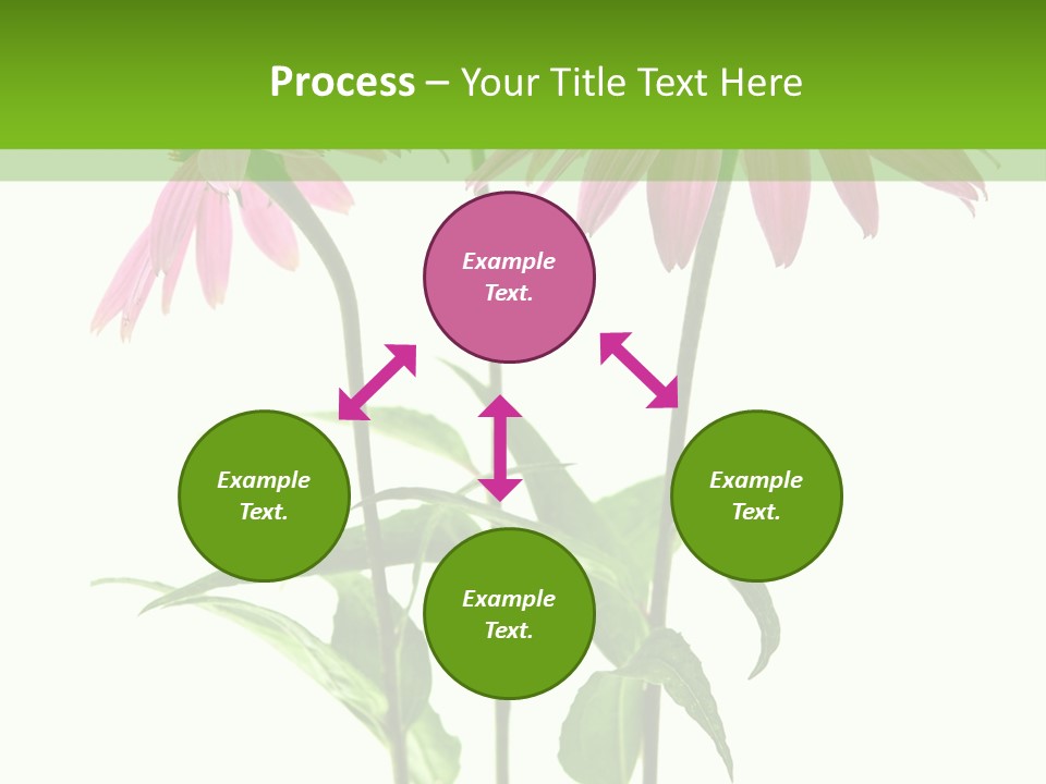 Homeopathic Garden Medicinal PowerPoint Template