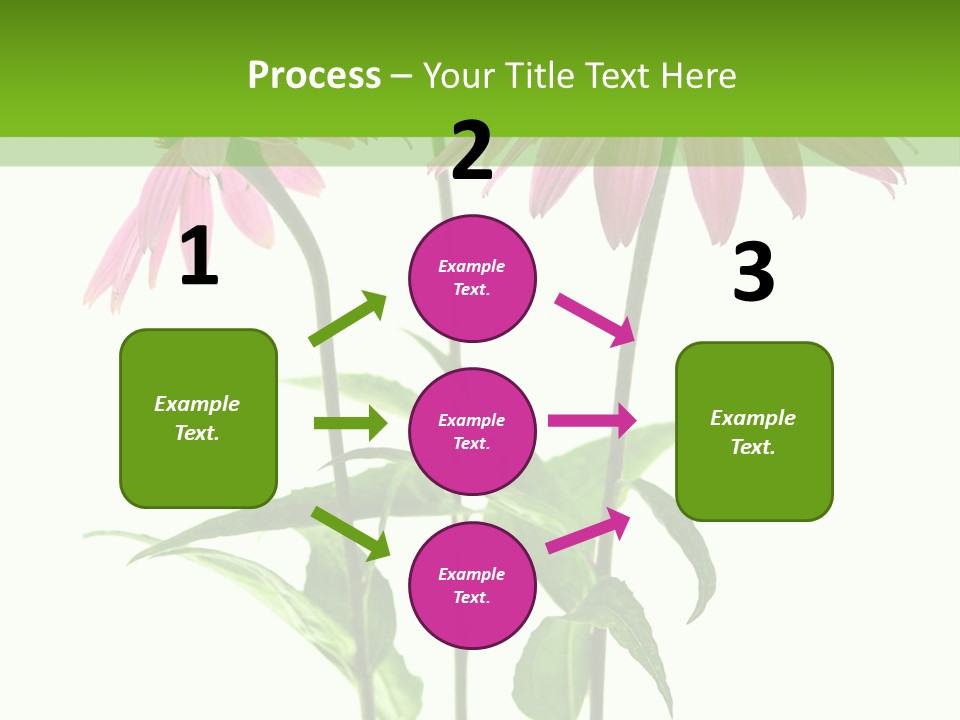 Homeopathic Garden Medicinal PowerPoint Template