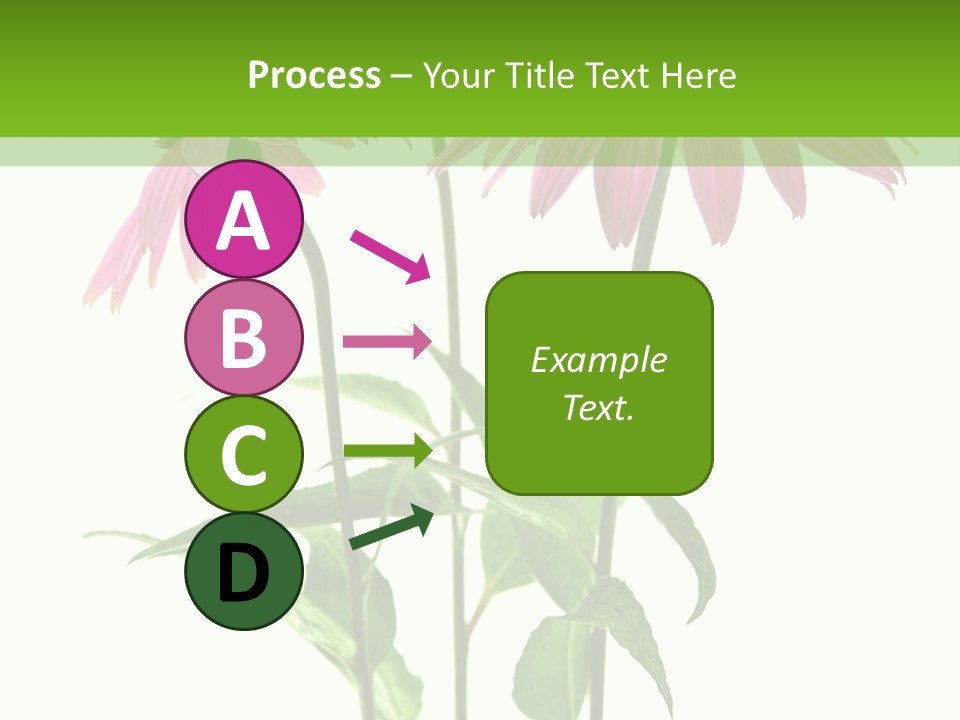 Homeopathic Garden Medicinal PowerPoint Template