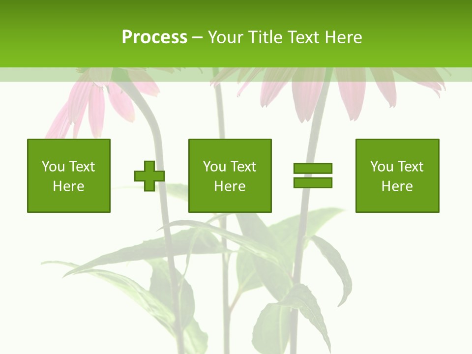 Homeopathic Garden Medicinal PowerPoint Template