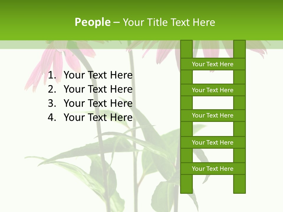 Homeopathic Garden Medicinal PowerPoint Template