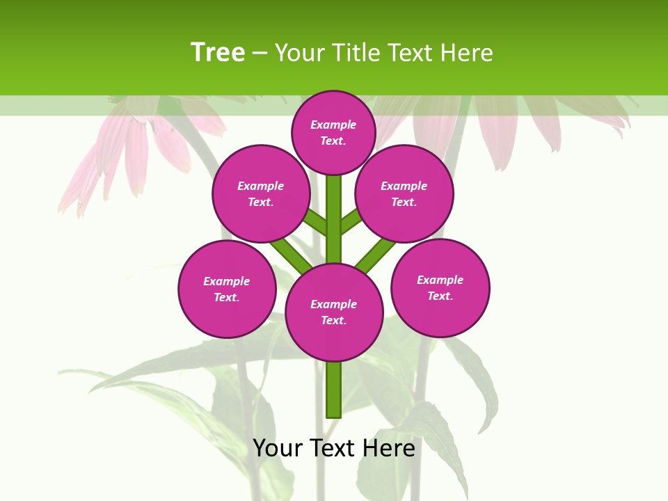 Homeopathic Garden Medicinal PowerPoint Template