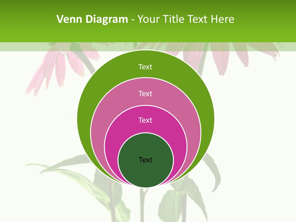 Homeopathic Garden Medicinal PowerPoint Template