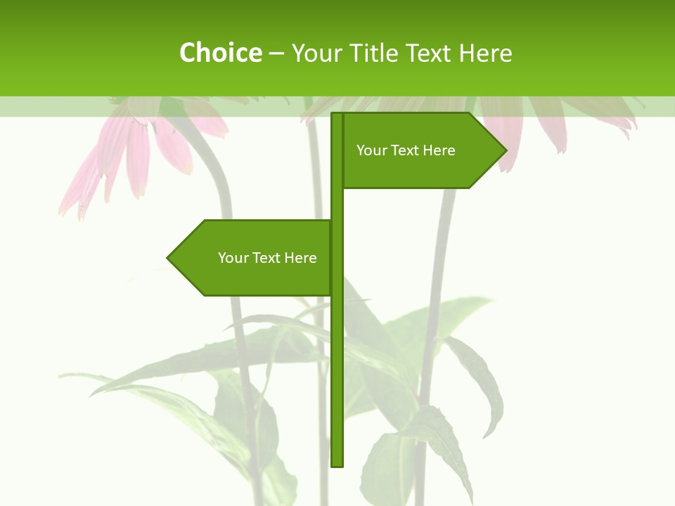 Homeopathic Garden Medicinal PowerPoint Template