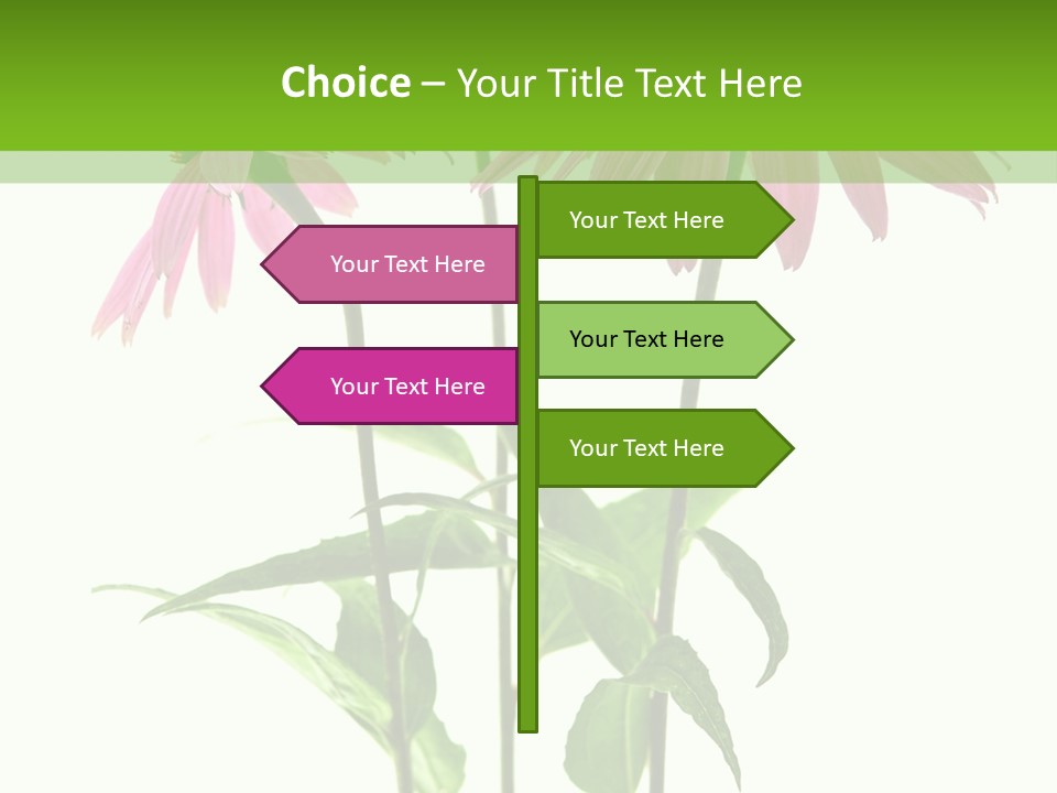 Homeopathic Garden Medicinal PowerPoint Template