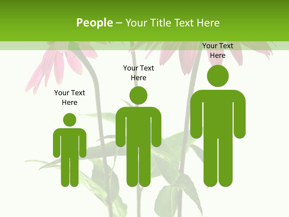 Homeopathic Garden Medicinal PowerPoint Template