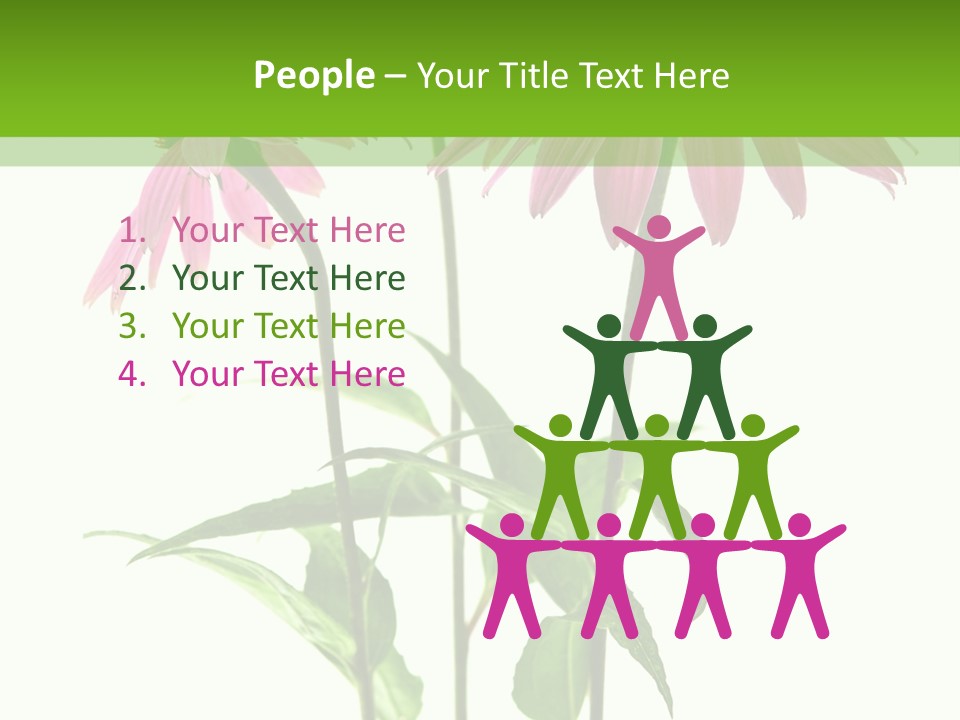 Homeopathic Garden Medicinal PowerPoint Template