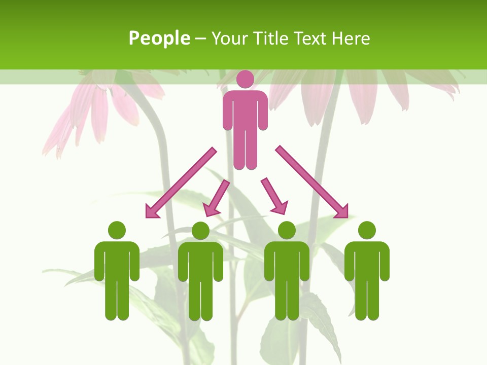 Homeopathic Garden Medicinal PowerPoint Template