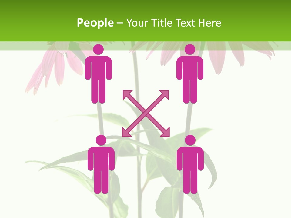 Homeopathic Garden Medicinal PowerPoint Template