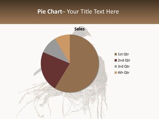 Feed Instinct Infant PowerPoint Template