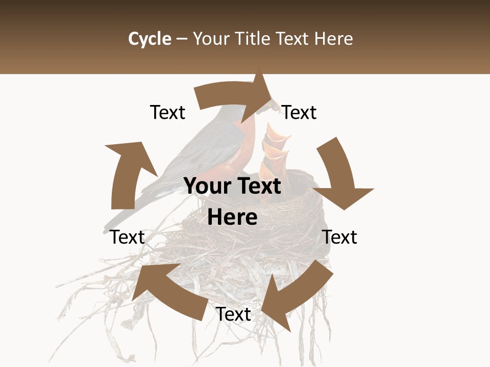 Feed Instinct Infant PowerPoint Template