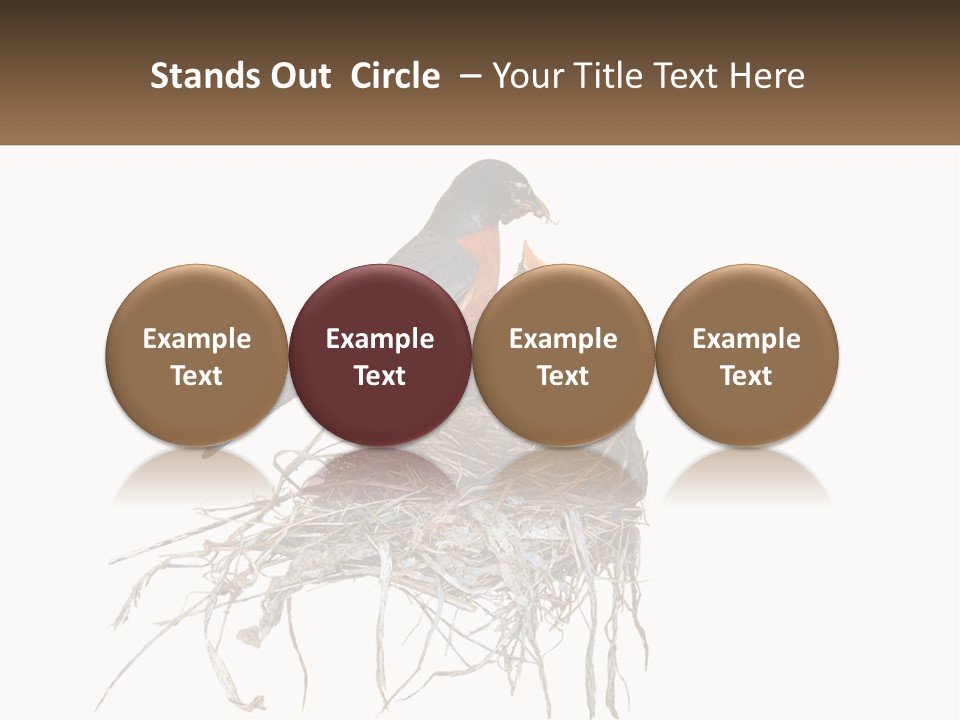 Feed Instinct Infant PowerPoint Template