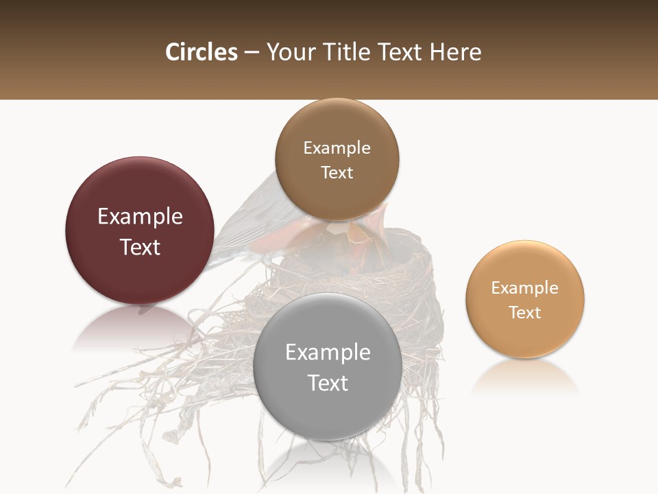 Feed Instinct Infant PowerPoint Template