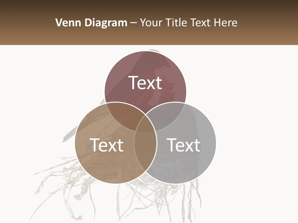 Feed Instinct Infant PowerPoint Template