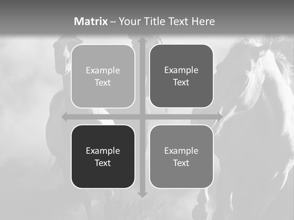 Gelding Country Tail PowerPoint Template