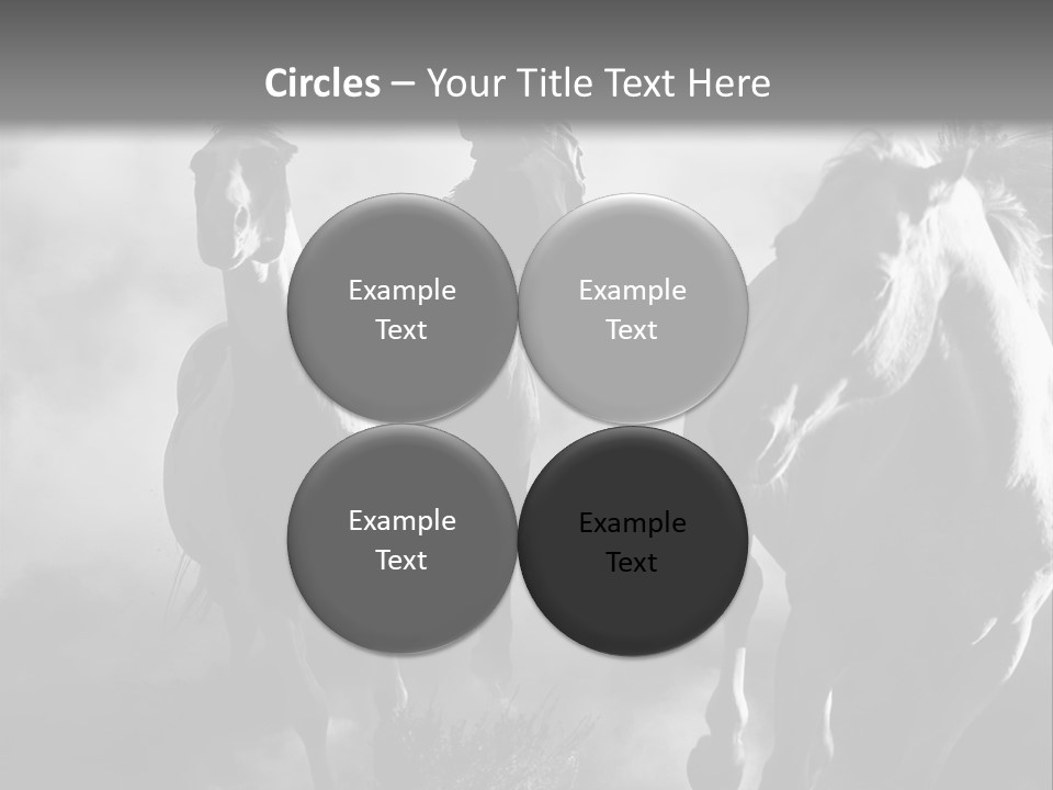 Gelding Country Tail PowerPoint Template