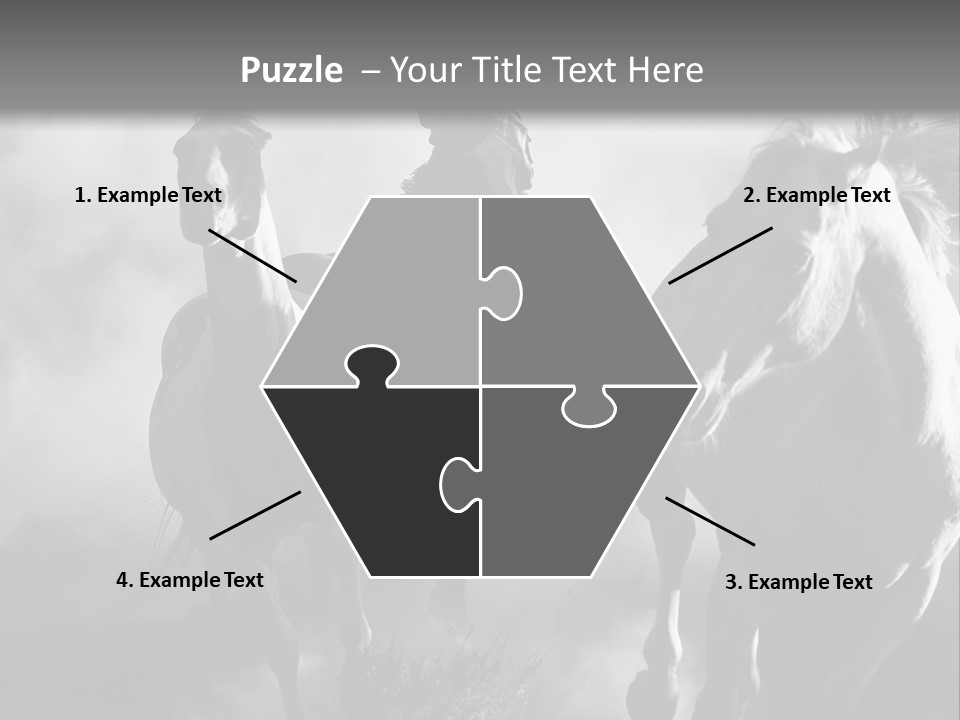 Gelding Country Tail PowerPoint Template