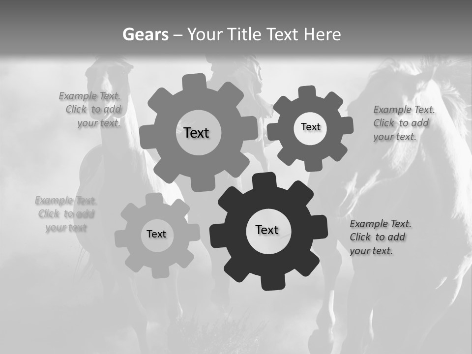 Gelding Country Tail PowerPoint Template