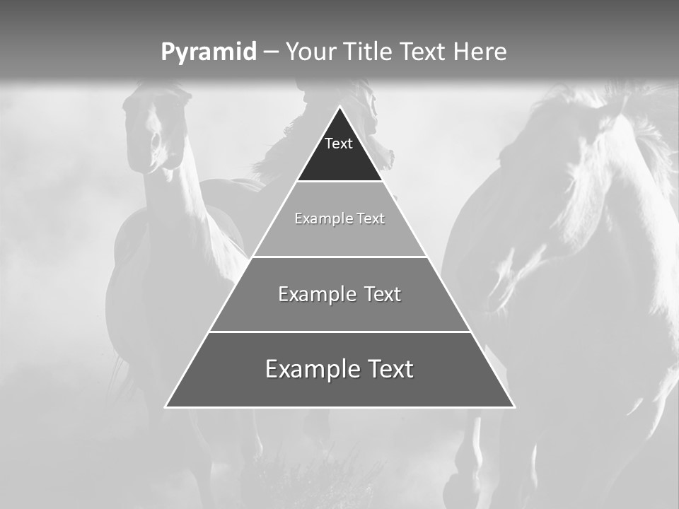 Gelding Country Tail PowerPoint Template