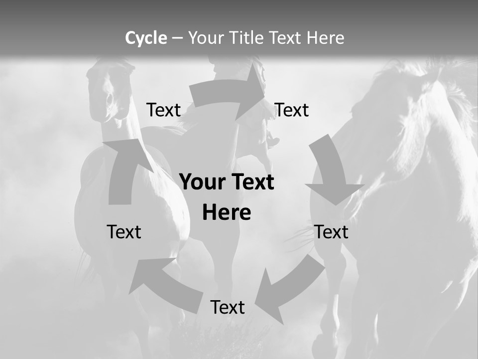 Gelding Country Tail PowerPoint Template