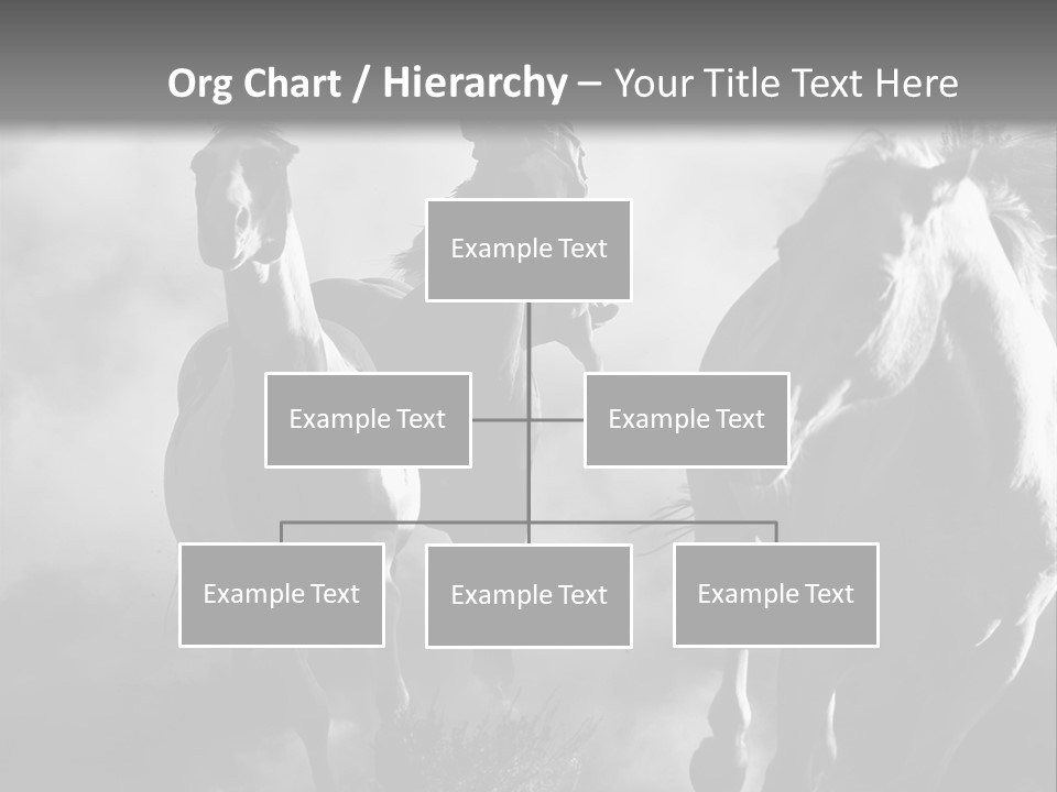 Gelding Country Tail PowerPoint Template