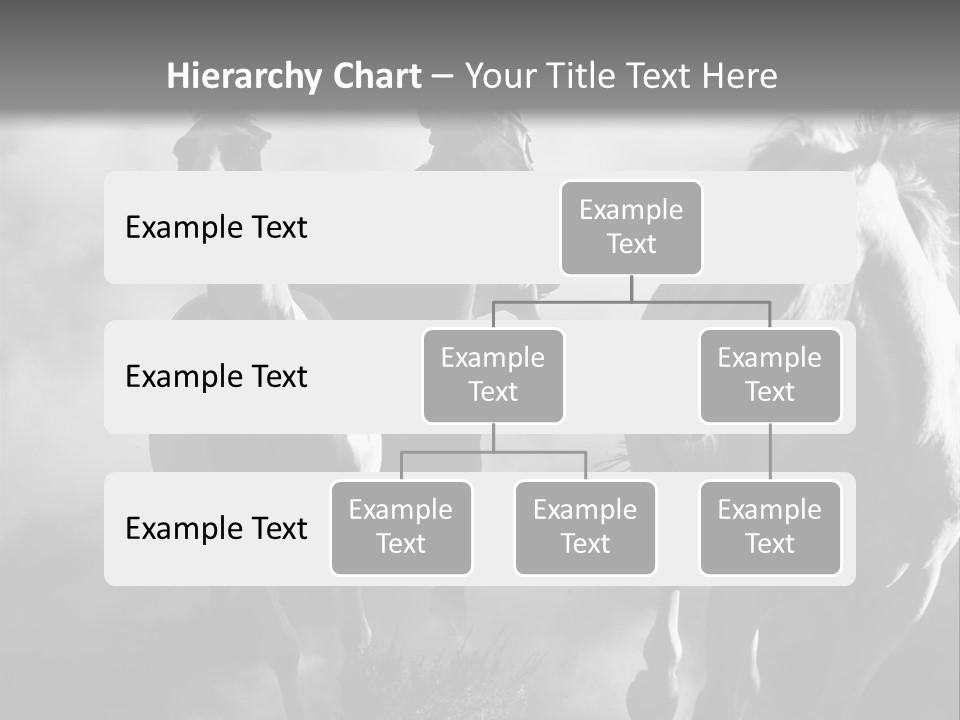 Gelding Country Tail PowerPoint Template