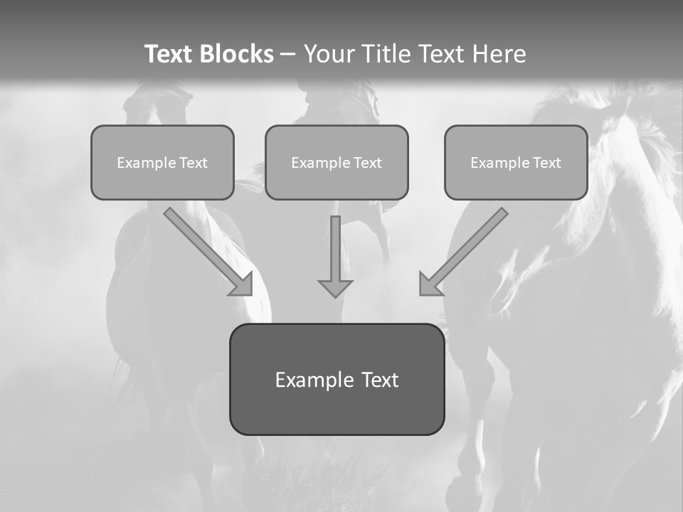 Gelding Country Tail PowerPoint Template