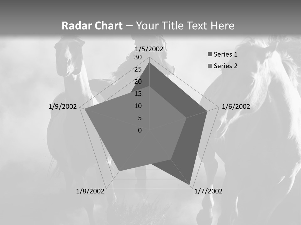 Gelding Country Tail PowerPoint Template