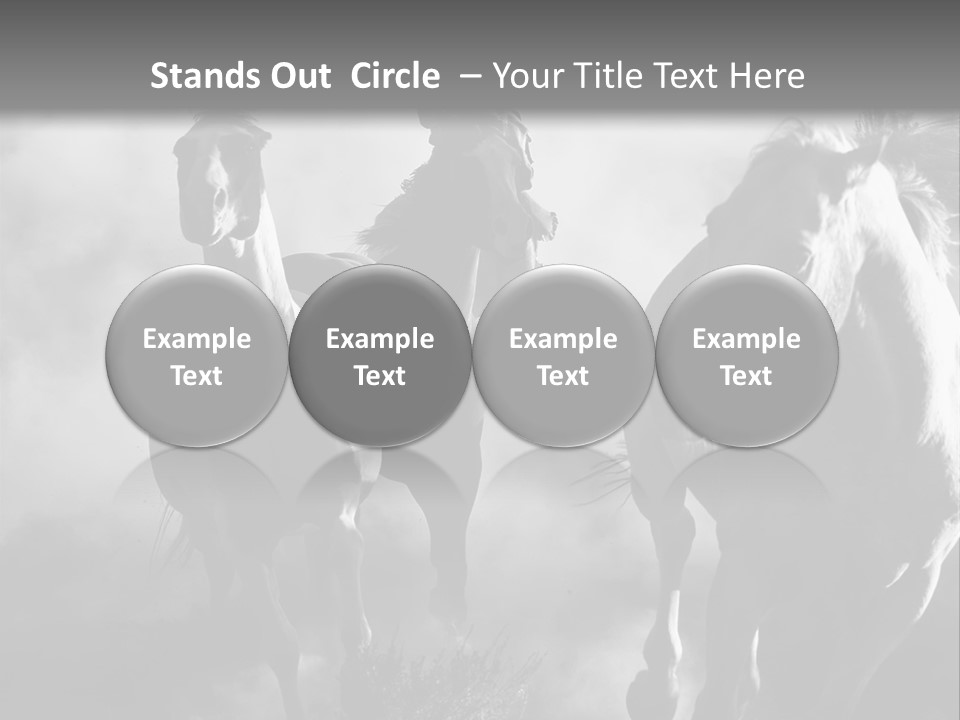 Gelding Country Tail PowerPoint Template