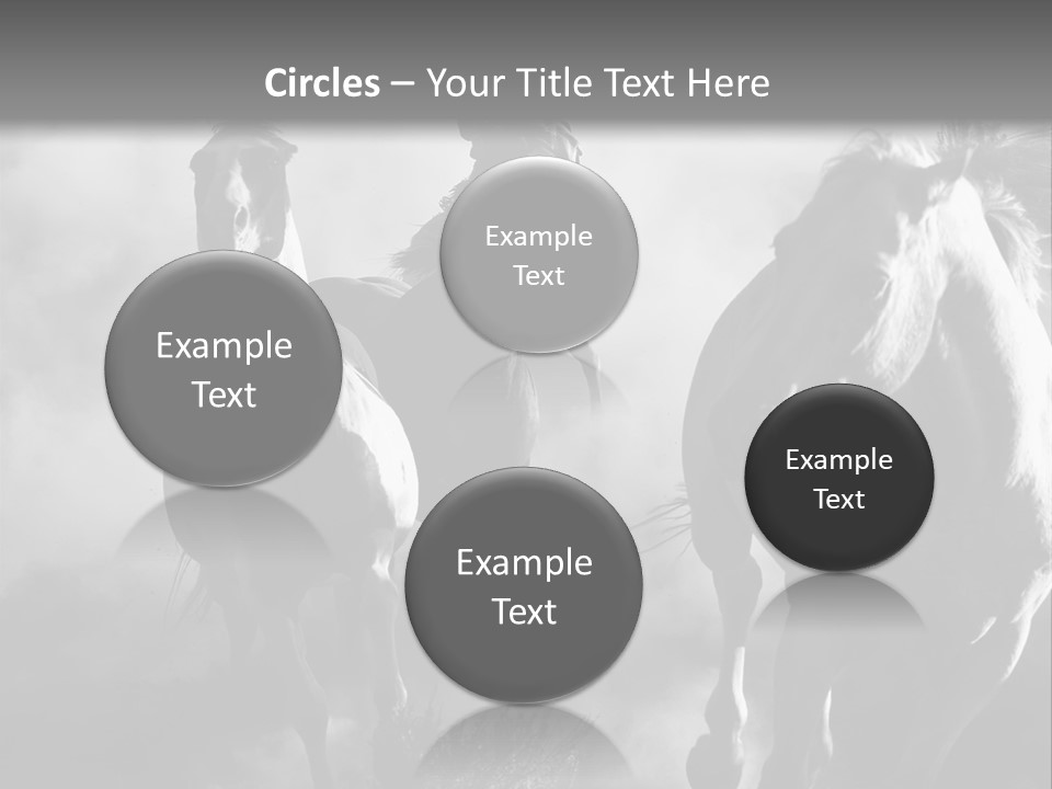 Gelding Country Tail PowerPoint Template