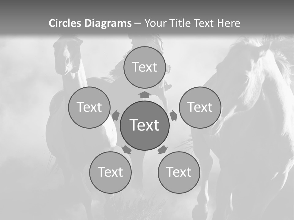 Gelding Country Tail PowerPoint Template