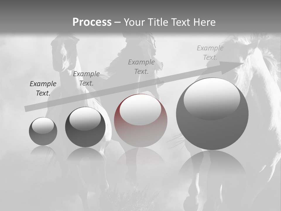 Gelding Country Tail PowerPoint Template