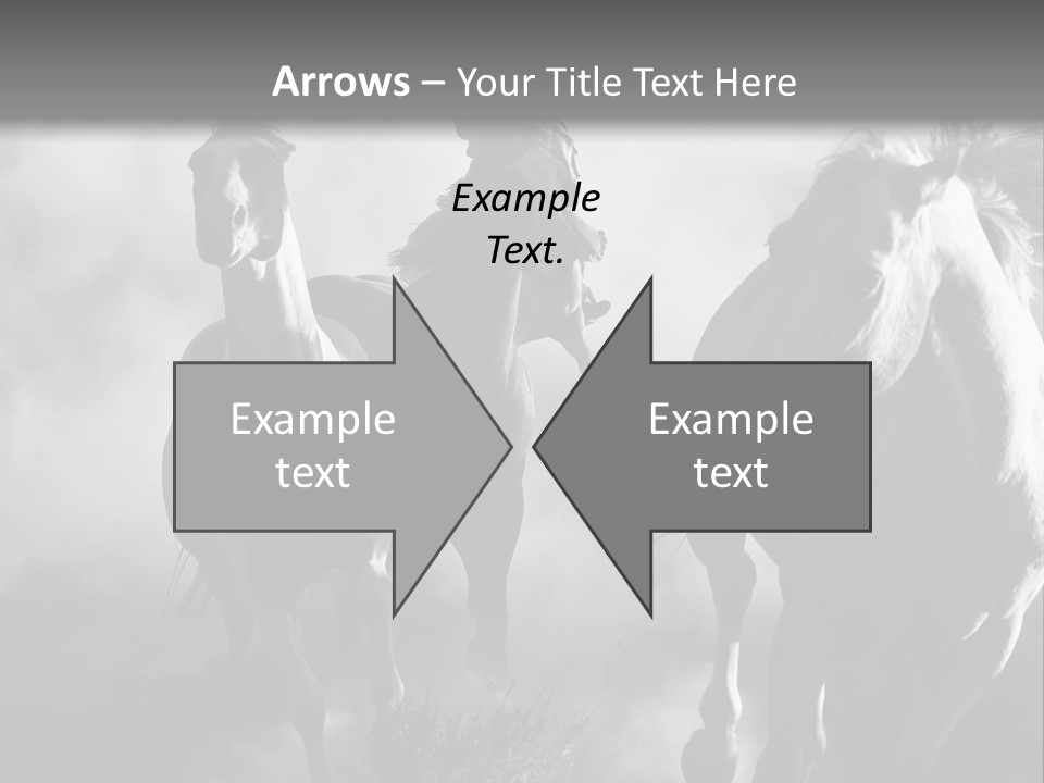 Gelding Country Tail PowerPoint Template