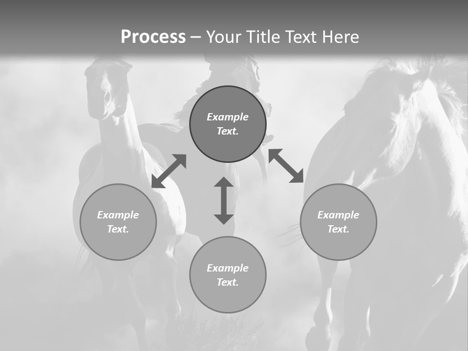 Gelding Country Tail PowerPoint Template