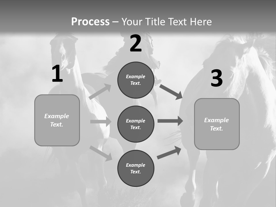 Gelding Country Tail PowerPoint Template
