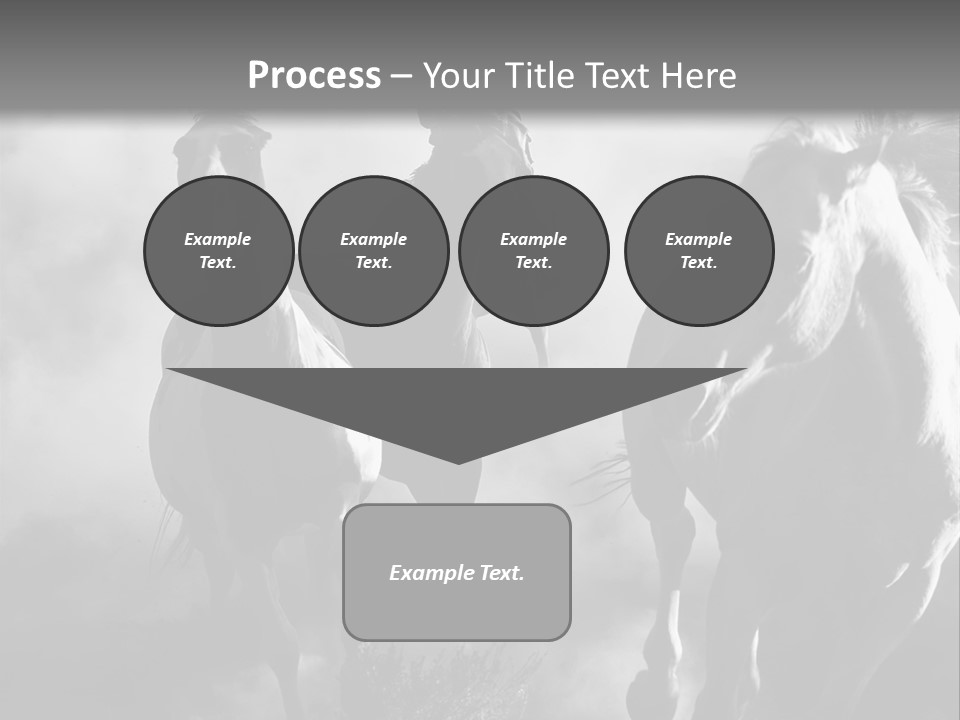 Gelding Country Tail PowerPoint Template