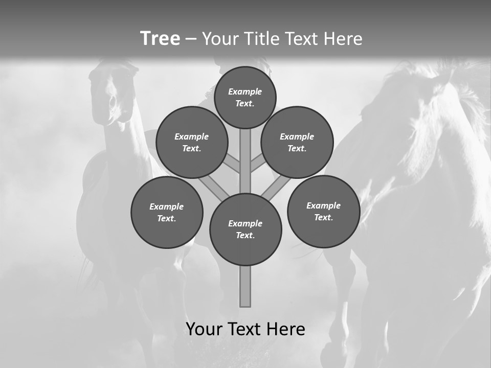 Gelding Country Tail PowerPoint Template