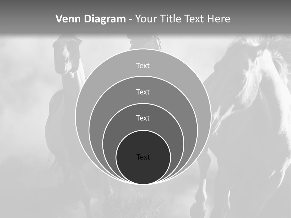 Gelding Country Tail PowerPoint Template