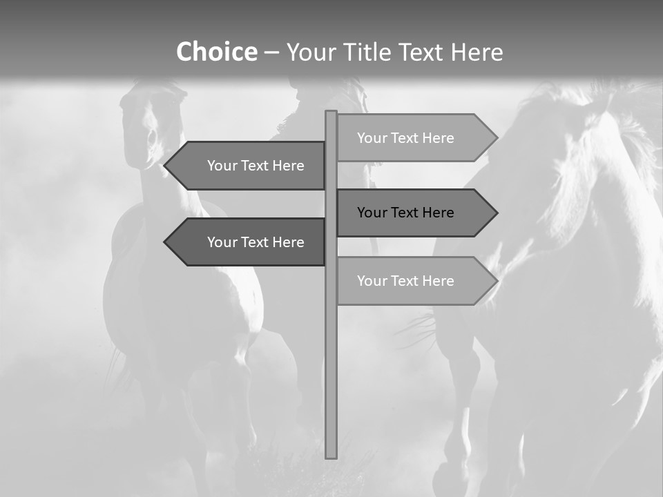 Gelding Country Tail PowerPoint Template