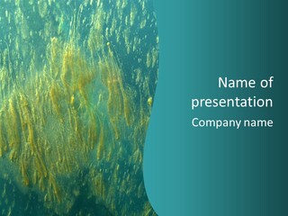Algae Life Plant PowerPoint Template