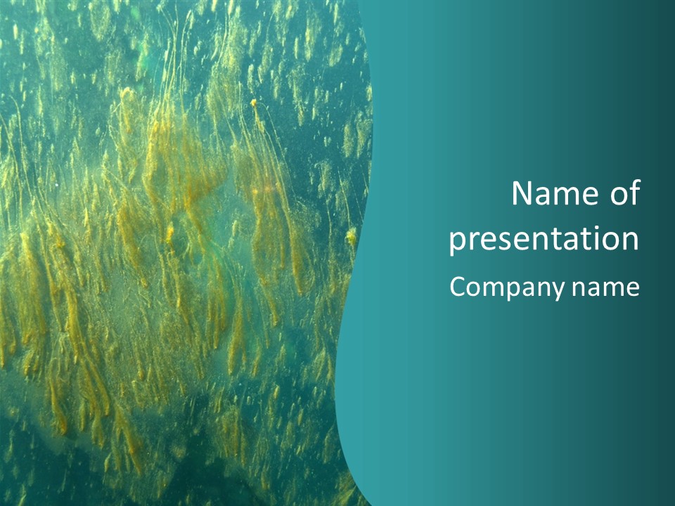 Algae Life Plant PowerPoint Template