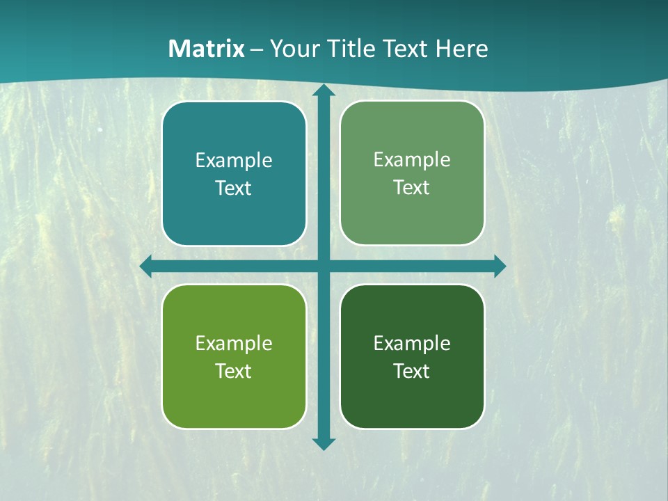 Algae Life Plant PowerPoint Template