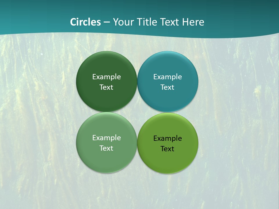 Algae Life Plant PowerPoint Template