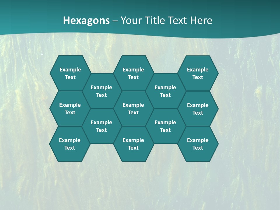 Algae Life Plant PowerPoint Template