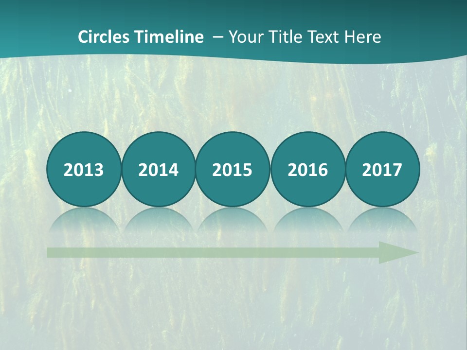 Algae Life Plant PowerPoint Template