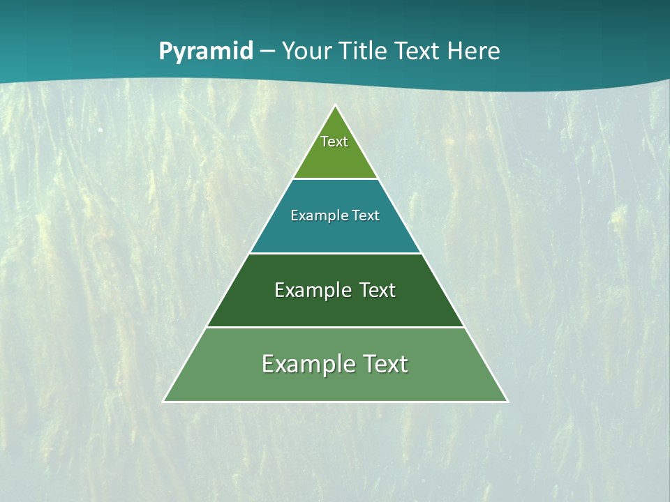 Algae Life Plant PowerPoint Template