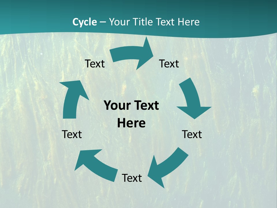 Algae Life Plant PowerPoint Template