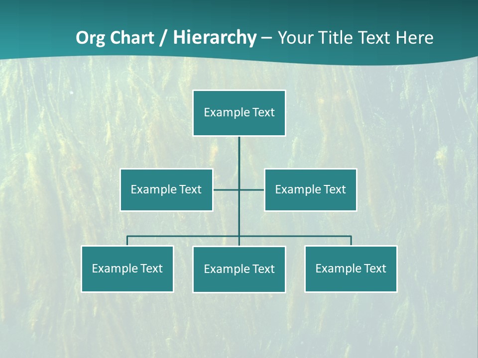 Algae Life Plant PowerPoint Template
