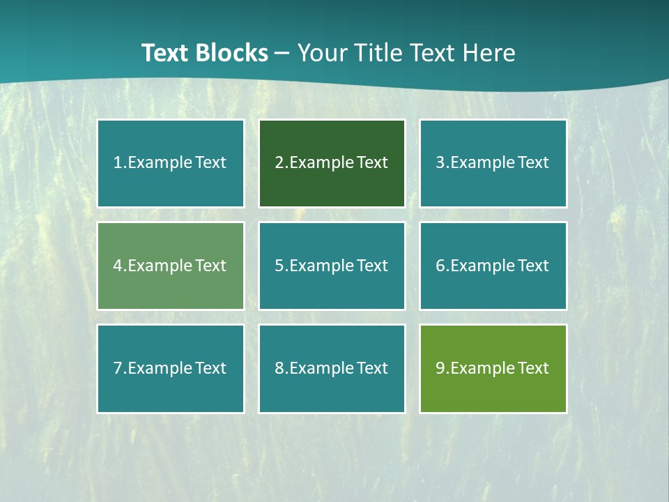 Algae Life Plant PowerPoint Template
