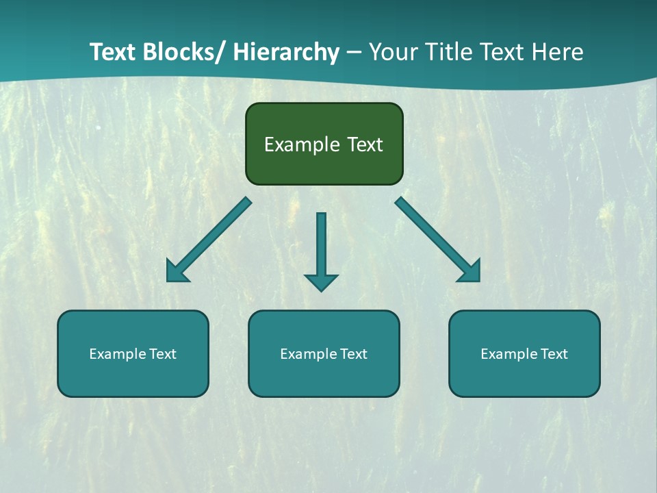 Algae Life Plant PowerPoint Template